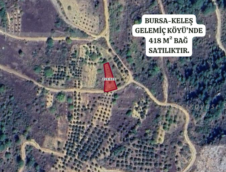 BURSA KELEŞ GELEMİÇ KÖYÜ’NDE 418 M²  BAĞ SATILIKTIR - BURSA KELES fotoğraf 5